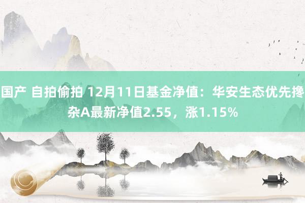 国产 自拍偷拍 12月11日基金净值：华安生态优先搀杂A最新净值2.55，涨1.15%