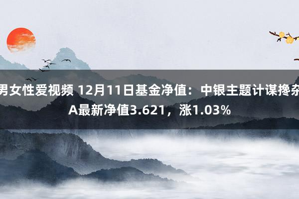 男女性爱视频 12月11日基金净值：中银主题计谋搀杂A最新净值3.621，涨1.03%