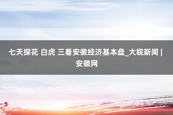 七天探花 白虎 三看安徽经济基本盘_大皖新闻 | 安徽网