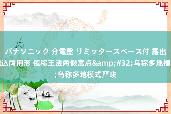 パナソニック 分電盤 リミッタースペース付 露出・半埋込両用形 俄称王法两假寓点&#32;乌称多地模式严峻