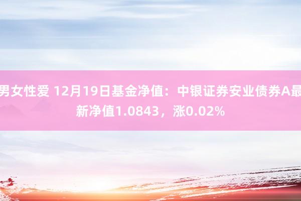 男女性爱 12月19日基金净值：中银证券安业债券A最新净值1.0843，涨0.02%