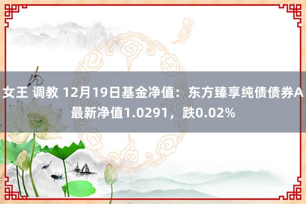 女王 调教 12月19日基金净值：东方臻享纯债债券A最新净值1.0291，跌0.02%