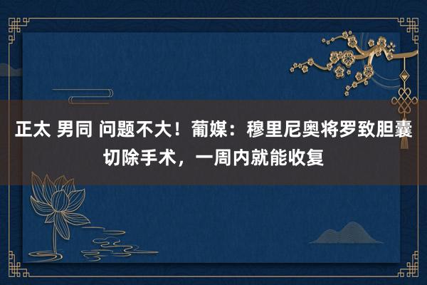 正太 男同 问题不大！葡媒：穆里尼奥将罗致胆囊切除手术，一周内就能收复