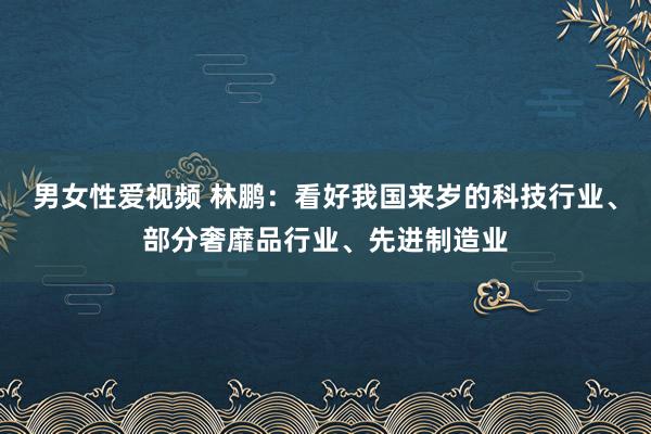 男女性爱视频 林鹏：看好我国来岁的科技行业、部分奢靡品行业、先进制造业