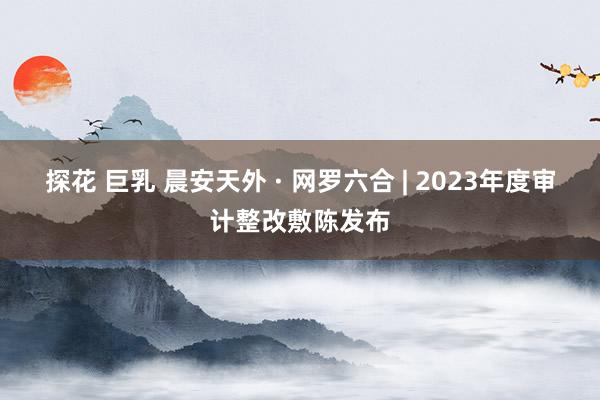 探花 巨乳 晨安天外 · 网罗六合 | 2023年度审计整改敷陈发布