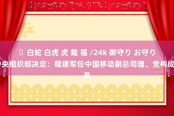 ✨白蛇 白虎 虎 龍 福 /24k 御守り お守り 中央组织部决定：程建军任中国移动副总司理、党构成员