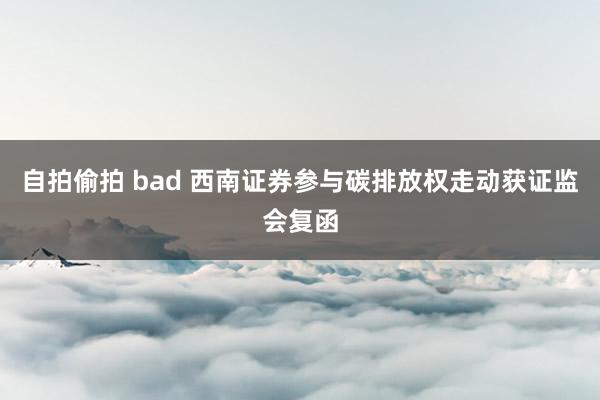 自拍偷拍 bad 西南证券参与碳排放权走动获证监会复函