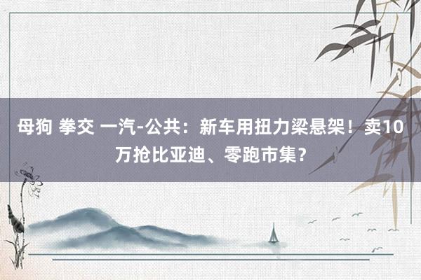 母狗 拳交 一汽-公共：新车用扭力梁悬架！卖10万抢比亚迪、零跑市集？