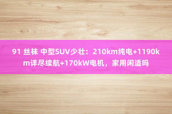 91 丝袜 中型SUV少壮：210km纯电+1190km详尽续航+170kW电机，家用闲适吗