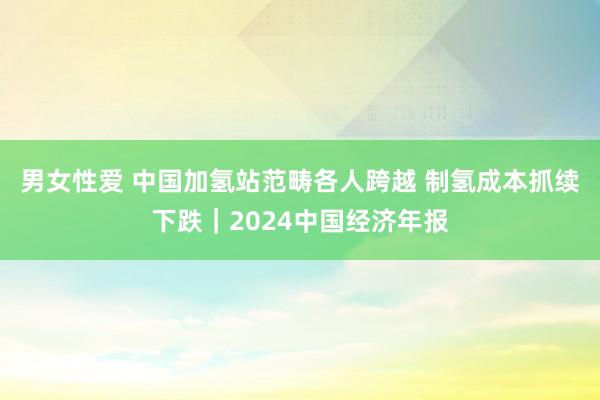 男女性爱 中国加氢站范畴各人跨越 制氢成本抓续下跌｜2024中国经济年报