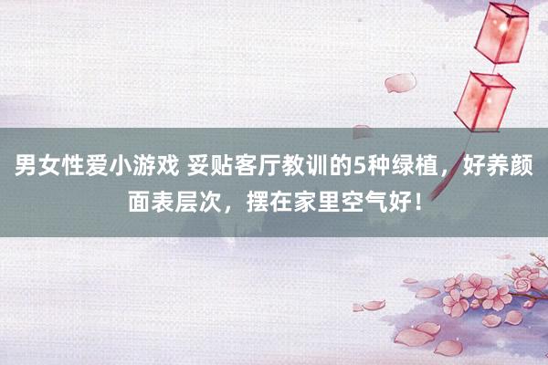 男女性爱小游戏 妥贴客厅教训的5种绿植，好养颜面表层次，摆在家里空气好！