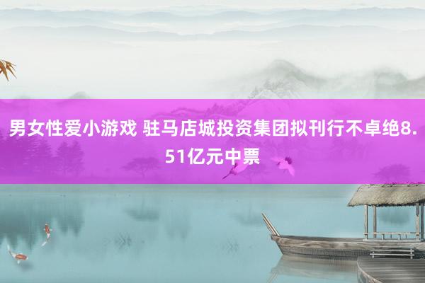 男女性爱小游戏 驻马店城投资集团拟刊行不卓绝8.51亿元中票