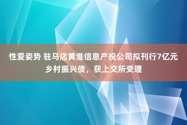 性爱姿势 驻马店黄淮信息产投公司拟刊行7亿元乡村振兴债，获上交所受理