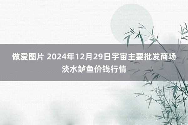 做爱图片 2024年12月29日宇宙主要批发商场淡水鲈鱼价钱行情