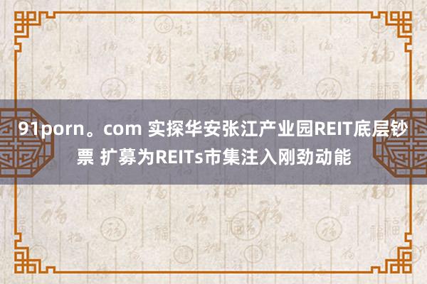 91porn。com 实探华安张江产业园REIT底层钞票 扩募为REITs市集注入刚劲动能