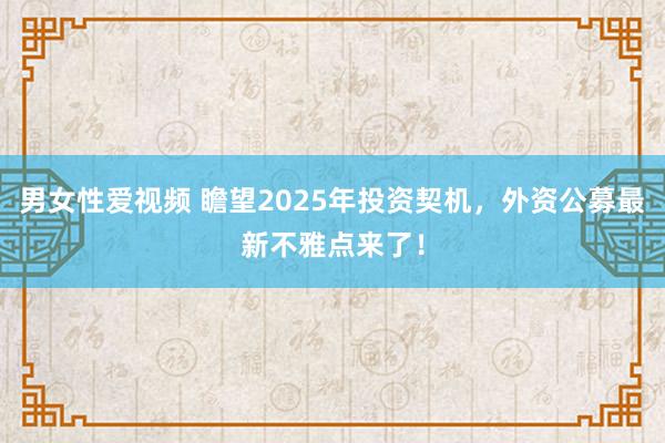 男女性爱视频 瞻望2025年投资契机，外资公募最新不雅点来了！