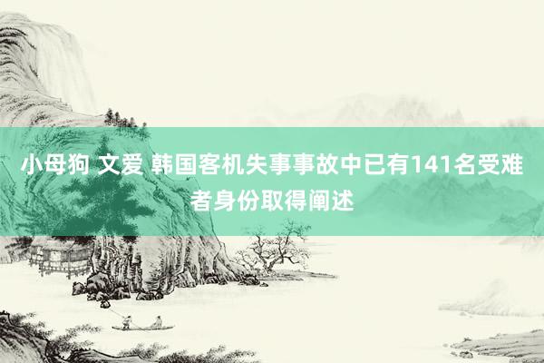 小母狗 文爱 韩国客机失事事故中已有141名受难者身份取得阐述