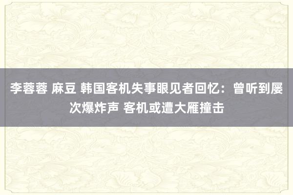 李蓉蓉 麻豆 韩国客机失事眼见者回忆：曾听到屡次爆炸声 客机或遭大雁撞击