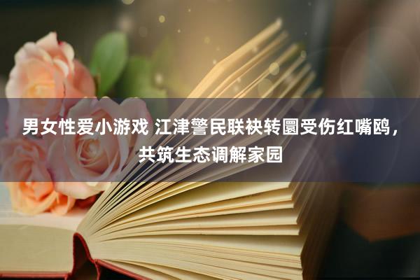 男女性爱小游戏 江津警民联袂转圜受伤红嘴鸥，共筑生态调解家园