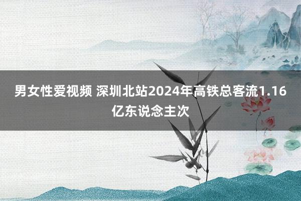 男女性爱视频 深圳北站2024年高铁总客流1.16亿东说念主次