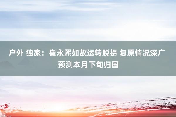 户外 独家：崔永熙如故运转脱拐 复原情况深广 预测本月下旬归国