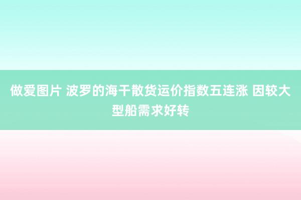 做爱图片 波罗的海干散货运价指数五连涨 因较大型船需求好转