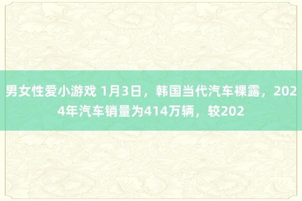 男女性爱小游戏 1月3日，韩国当代汽车裸露，2024年汽车销量为414万辆，较202