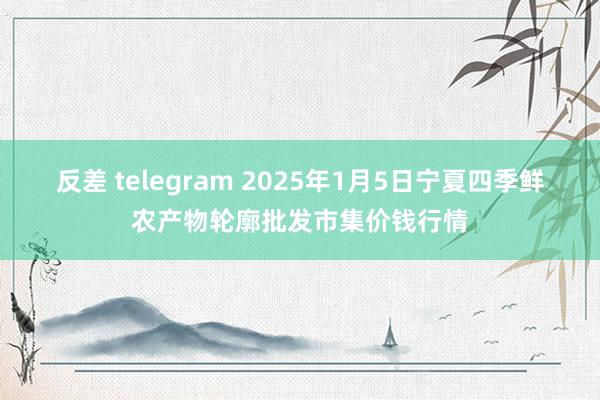 反差 telegram 2025年1月5日宁夏四季鲜农产物轮廓批发市集价钱行情