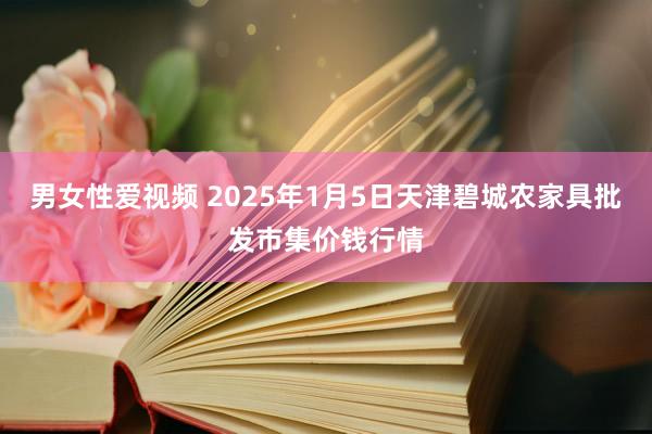 男女性爱视频 2025年1月5日天津碧城农家具批发市集价钱行情