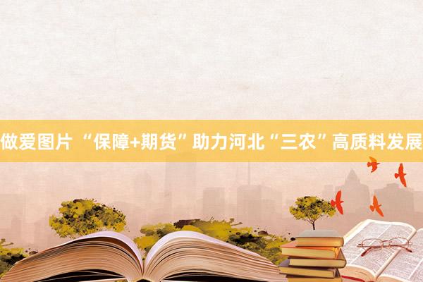 做爱图片 “保障+期货”助力河北“三农”高质料发展