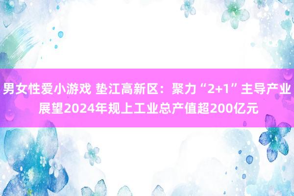 男女性爱小游戏 垫江高新区：聚力“2+1”主导产业 展望2024年规上工业总产值超200亿元