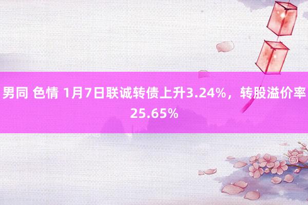 男同 色情 1月7日联诚转债上升3.24%，转股溢价率25.65%