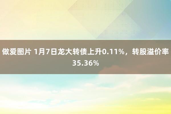 做爱图片 1月7日龙大转债上升0.11%，转股溢价率35.36%