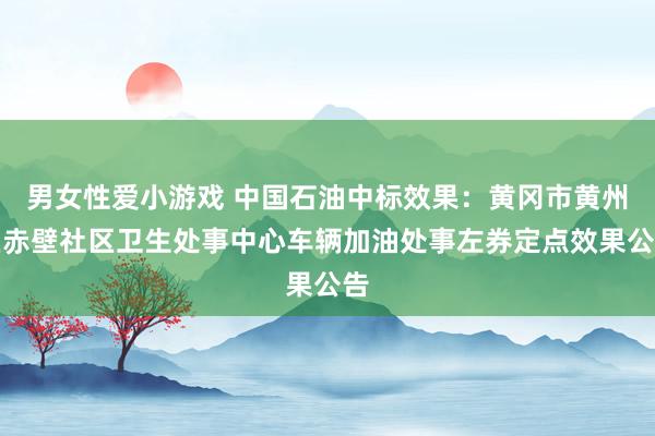 男女性爱小游戏 中国石油中标效果：黄冈市黄州区赤壁社区卫生处事中心车辆加油处事左券定点效果公告