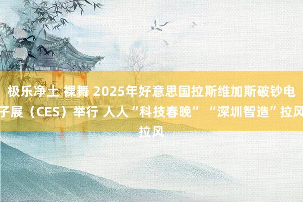 极乐净土 裸舞 2025年好意思国拉斯维加斯破钞电子展（CES）举行 人人“科技春晚” “深圳智造”拉风