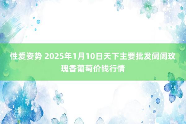 性爱姿势 2025年1月10日天下主要批发阛阓玫瑰香葡萄价钱行情