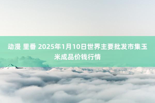 动漫 里番 2025年1月10日世界主要批发市集玉米成品价钱行情