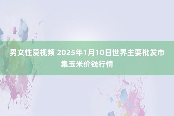 男女性爱视频 2025年1月10日世界主要批发市集玉米价钱行情