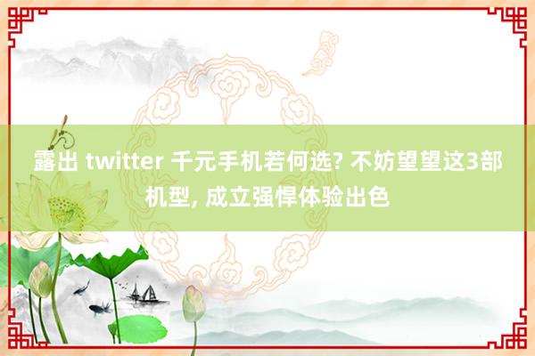 露出 twitter 千元手机若何选? 不妨望望这3部机型， 成立强悍体验出色