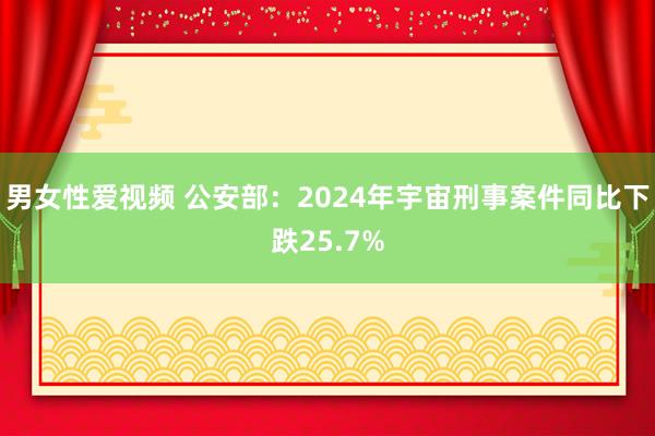 男女性爱视频 公安部：2024年宇宙刑事案件同比下跌25.7%