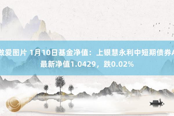 做爱图片 1月10日基金净值：上银慧永利中短期债券A最新净值1.0429，跌0.02%