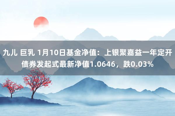 九儿 巨乳 1月10日基金净值：上银聚嘉益一年定开债券发起式最新净值1.0646，跌0.03%