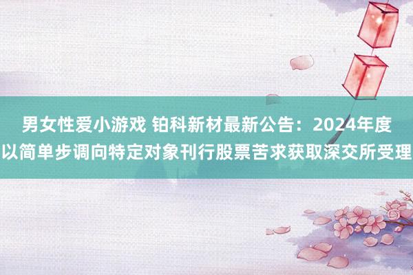 男女性爱小游戏 铂科新材最新公告：2024年度以简单步调向特定对象刊行股票苦求获取深交所受理