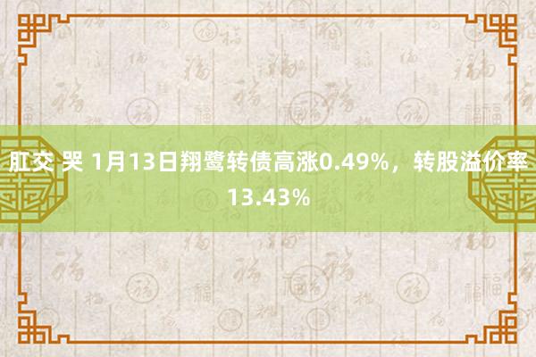 肛交 哭 1月13日翔鹭转债高涨0.49%，转股溢价率13.43%