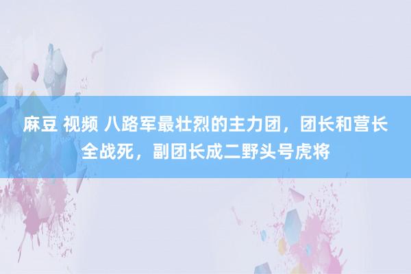 麻豆 视频 八路军最壮烈的主力团，团长和营长全战死，副团长成二野头号虎将