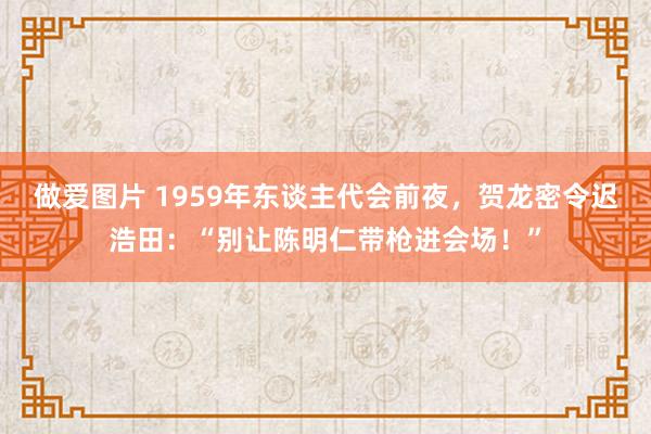 做爱图片 1959年东谈主代会前夜，贺龙密令迟浩田：“别让陈明仁带枪进会场！”