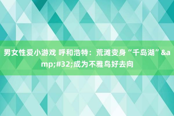 男女性爱小游戏 呼和浩特：荒滩变身“千岛湖”&#32;成为不雅鸟好去向