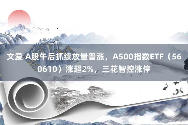 文爱 A股午后抓续放量普涨，A500指数ETF（560610）涨超2%，三花智控涨停