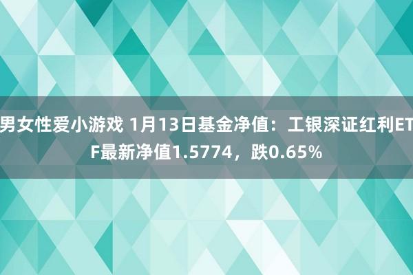 男女性爱小游戏 1月13日基金净值：工银深证红利ETF最新净值1.5774，跌0.65%