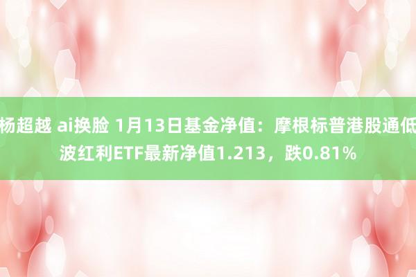 杨超越 ai换脸 1月13日基金净值：摩根标普港股通低波红利ETF最新净值1.213，跌0.81%